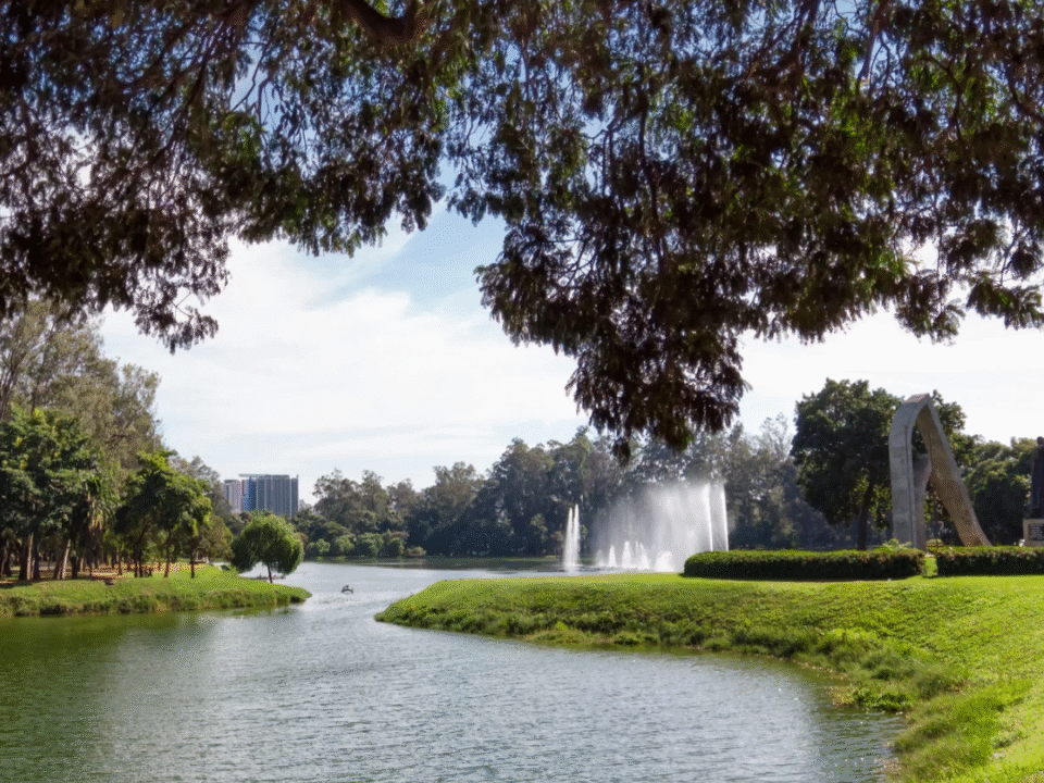 Passeios Culturais e gratuitos em SP